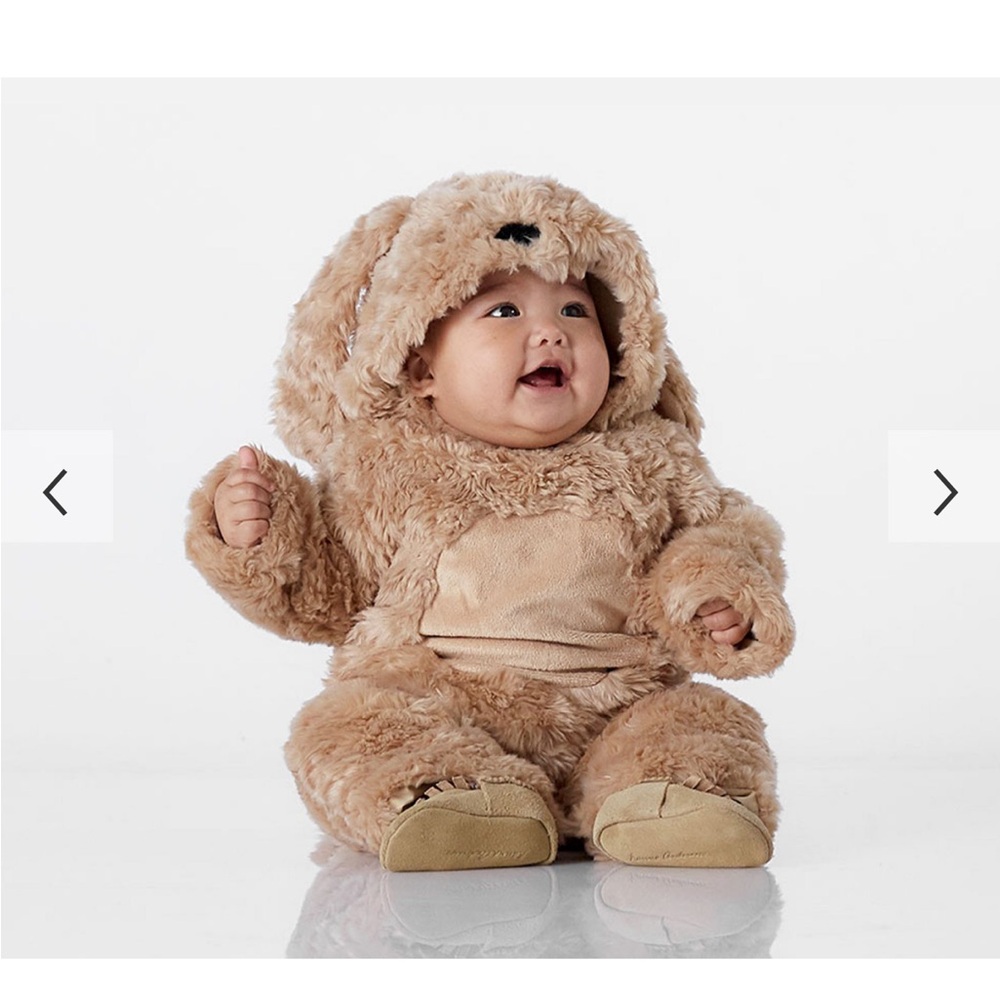 Pottery Barn Baby Labradoodle Dog Halloween Costume